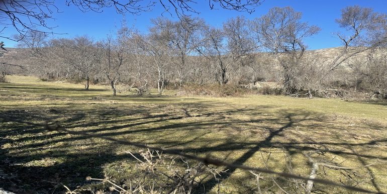 Finca rustica Bustarviejo - foto 4