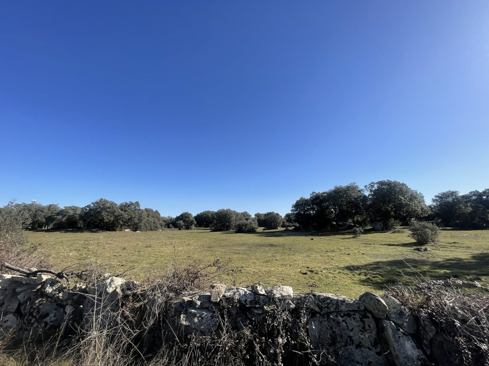 Finca rustica Navalafuente zona "Las Zorreras" - foto 4