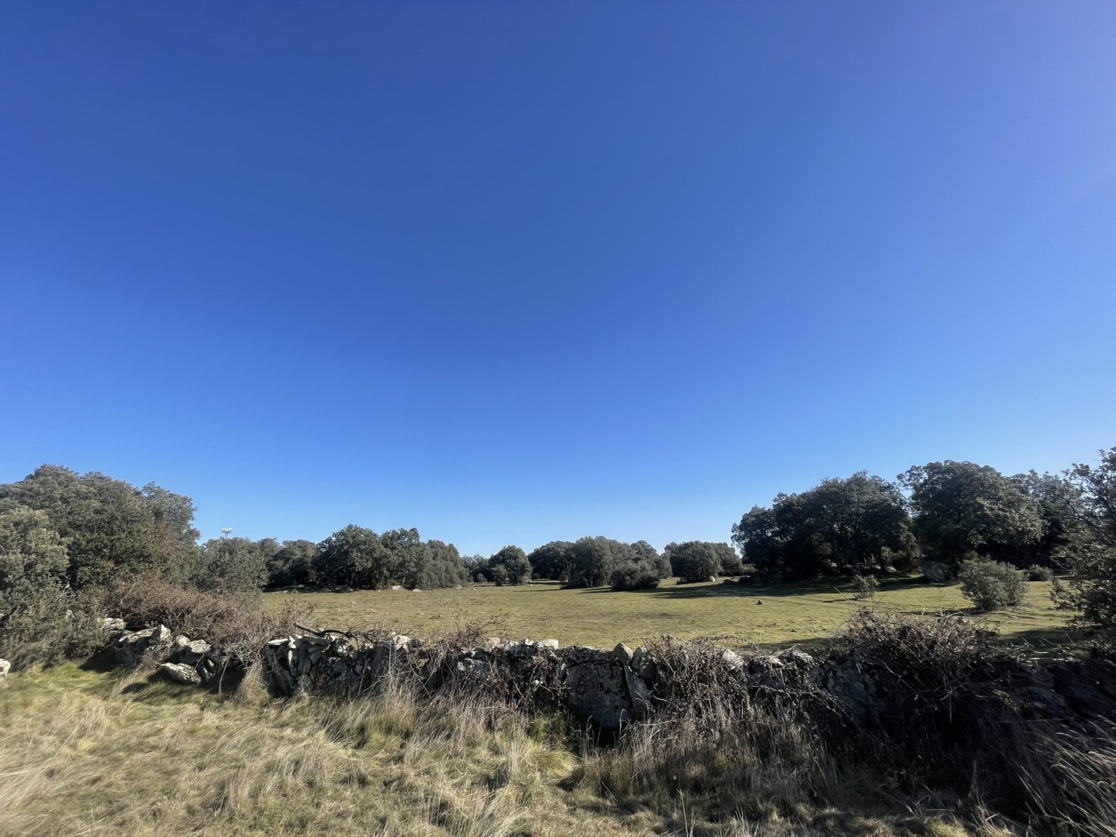 Finca rustica Navalafuente zona "Las Zorreras" - foto 5